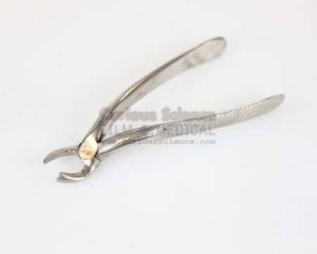 Dental Forceps