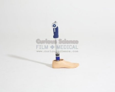 Artificial Leg Part