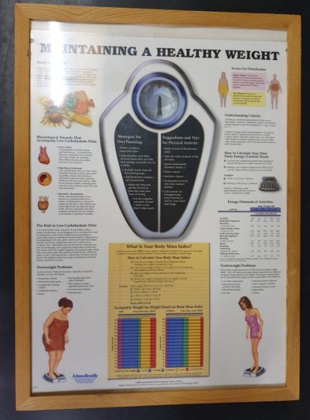 Anatomical Framed Print Maintaining a Healthy Weight