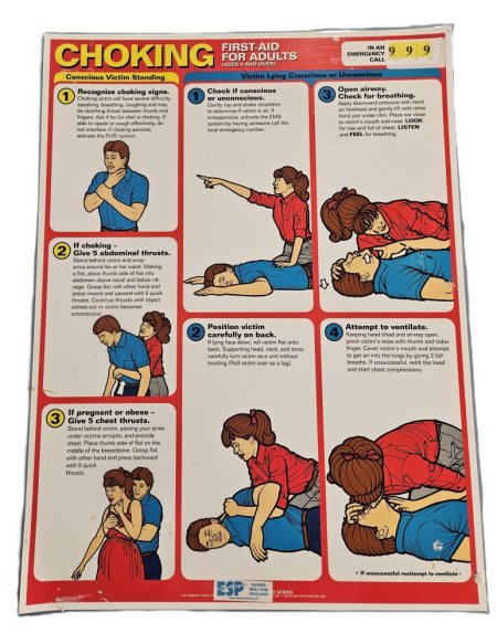 Laminated First Aid For Adults Poster