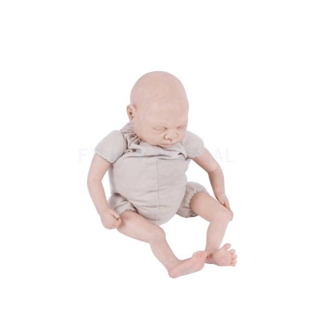 Hand Painted Baby Bald Scalp (New Born)