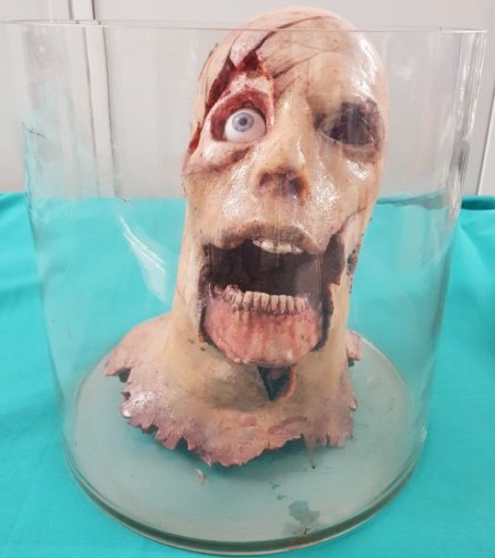 Severed Synthetic Head in a jar